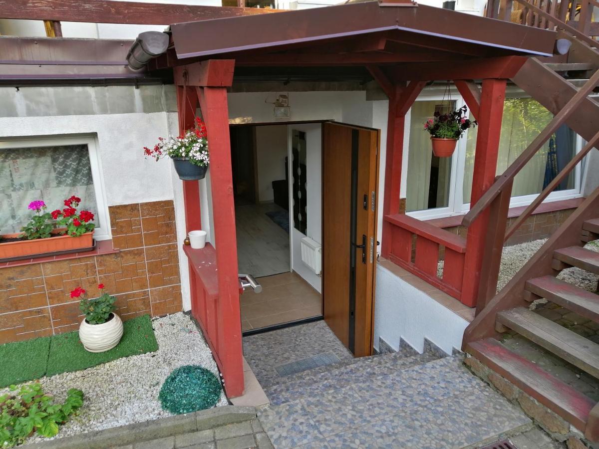 Apartament Przy Parku マルボルク エクステリア 写真